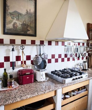 Fridge, oven, stovetop, dishwasher