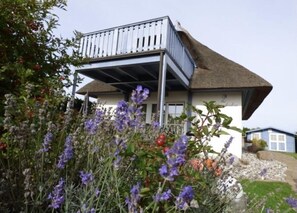 Terrain de l’hébergement 