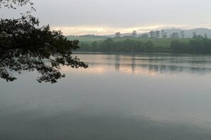 A calm lake with a tree branch in the foreground and a distant view of a hill with trees and a building. - Top Ferienwohnung am Diemelsee (Diemelsee)