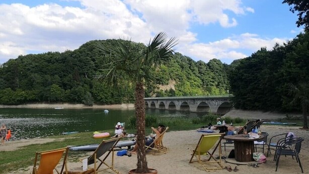 A beach with lounge chairs and a palm tree, a bridge in the background, and a calm body of water.