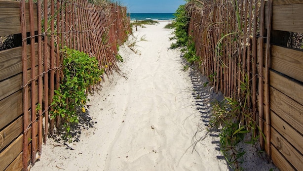 A sandy beach path flanked by wooden fences with vegetation growing between them. - Beach Views, 2 Balconies, Beach Access, 2 Pools 1 Heated, 5 miles to Downtown, $300 in Free Tickets! (St. Augustine)
