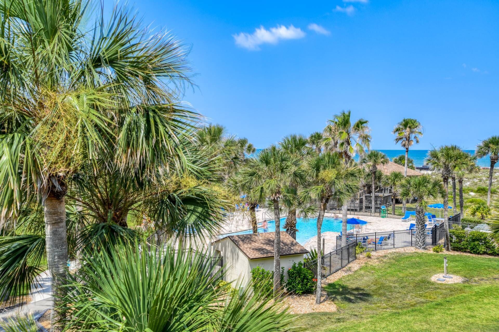 A pool area with palm trees, a clear blue sky, and a view of the ocean.