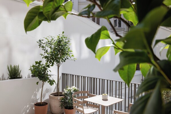Terraza o patio
