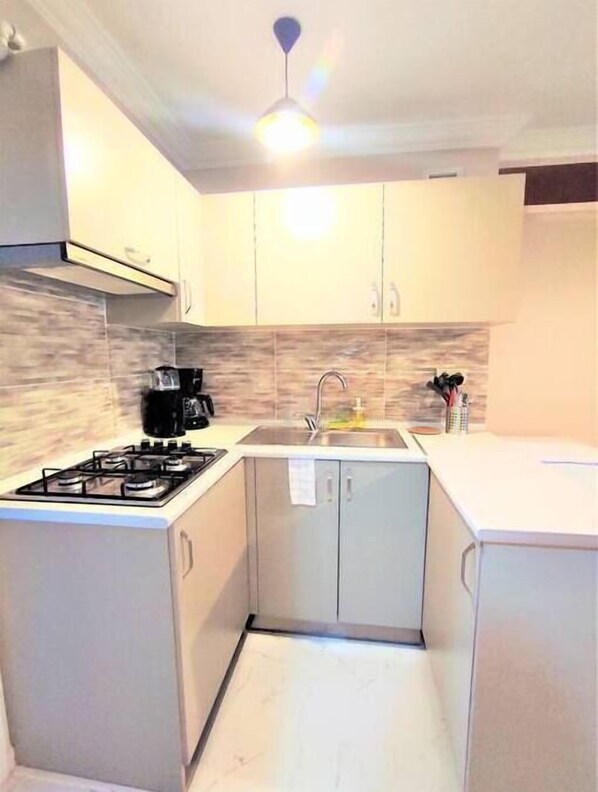 Frigorífico, placa de cocina, cafetera o tetera y utensilios de cocina