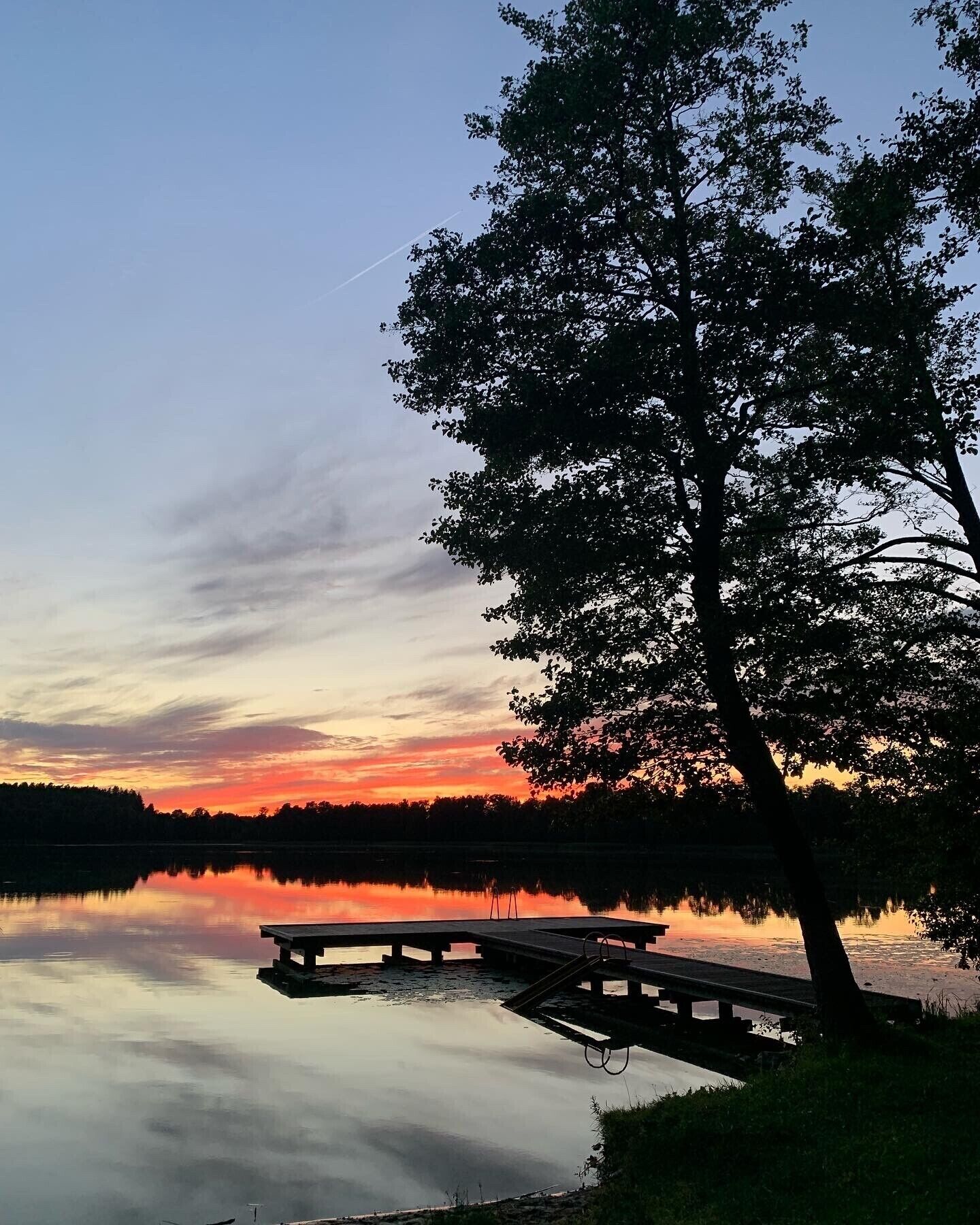 A serene lakeside scene with a wooden dock extending into calm waters, surrounded by trees and a clear sky.