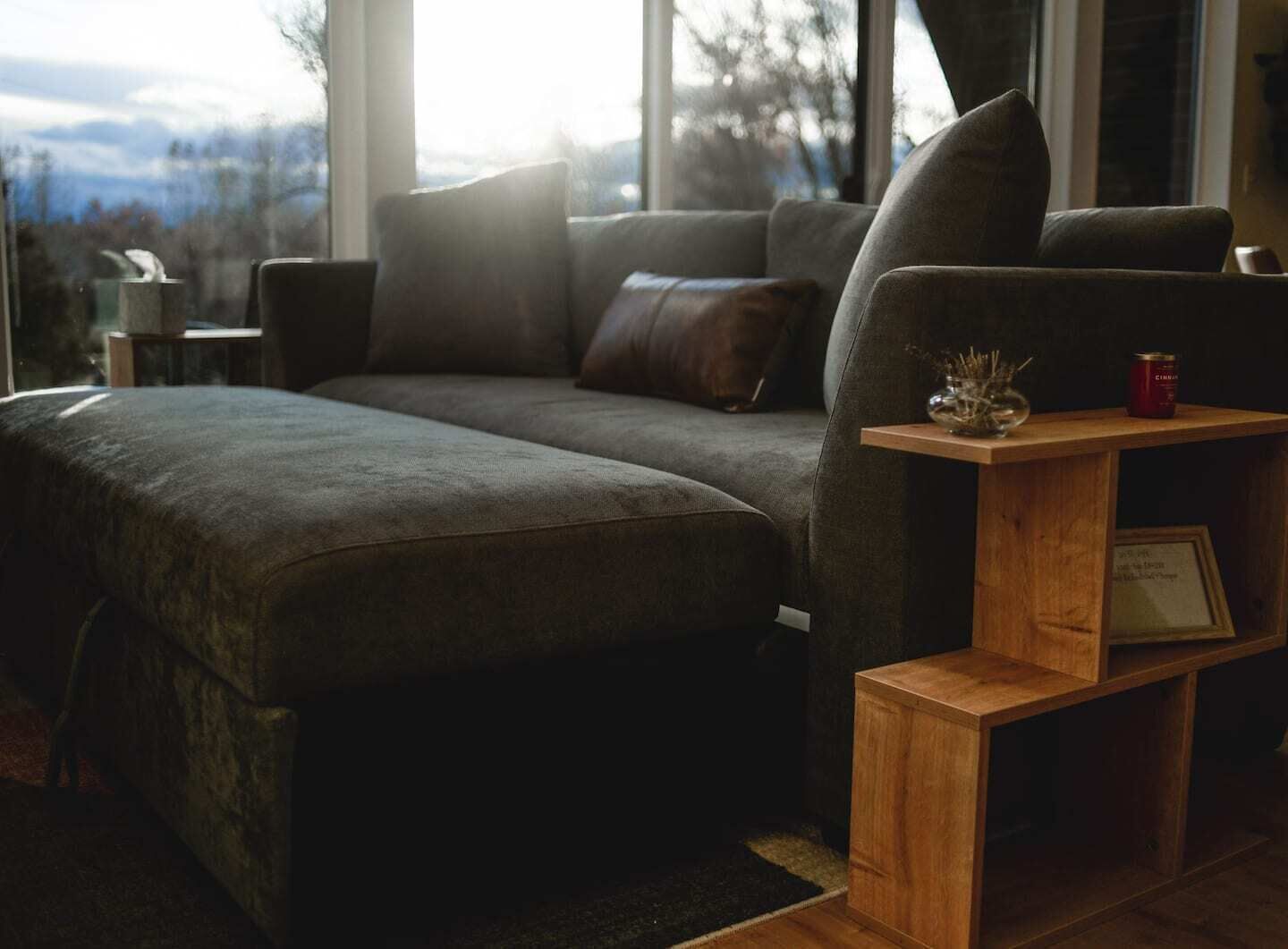 sleeper sofa