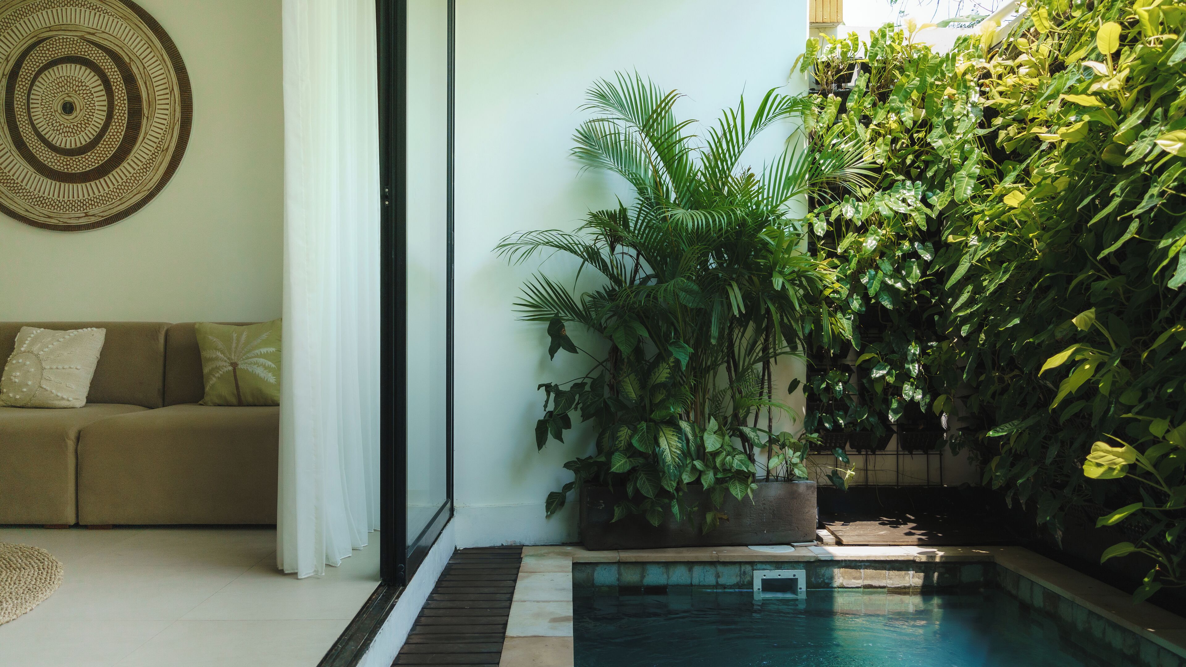 Un salón con un sofá color crema, un tapiz decorativo y una planta grande en maceta cerca de una ventana.