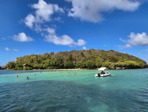 Guests can enjoy swimming and boating in the calm waters.