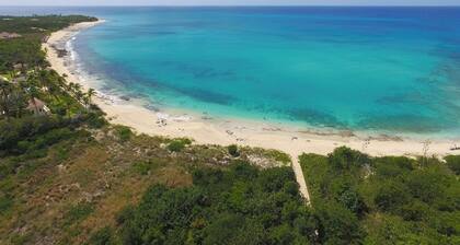 Petit Citron Vert, Terres Basses St Martin FWI