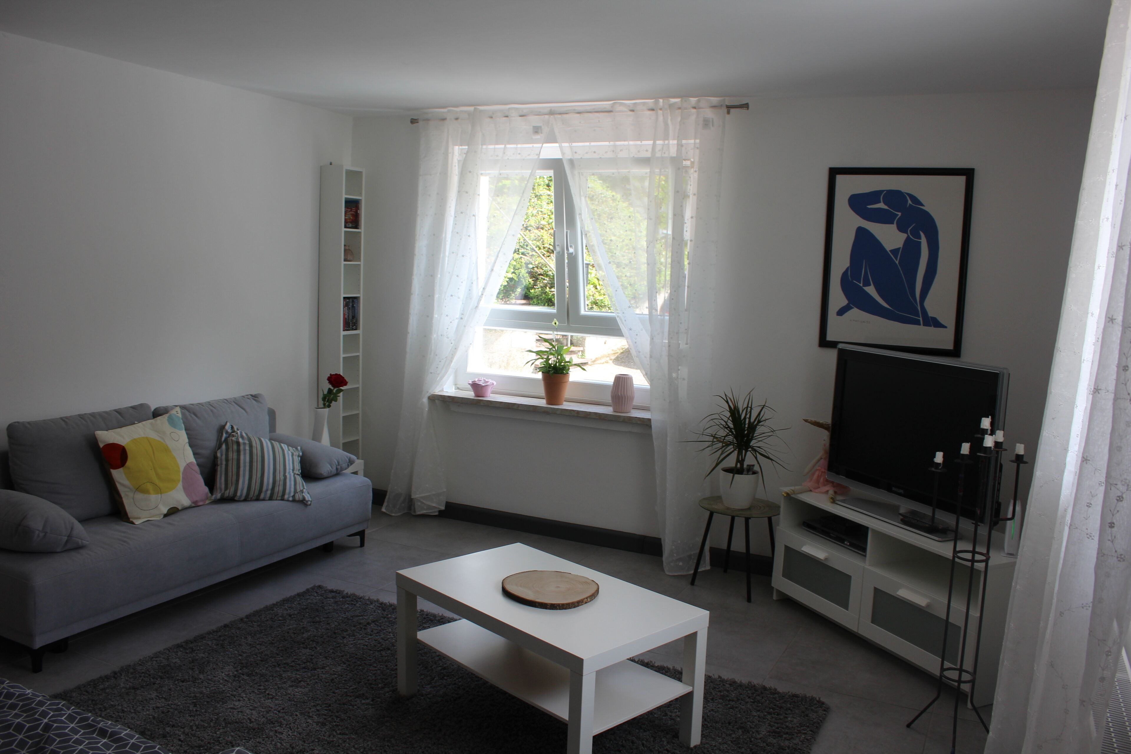 TV connectée, lecteur de DVD, livres