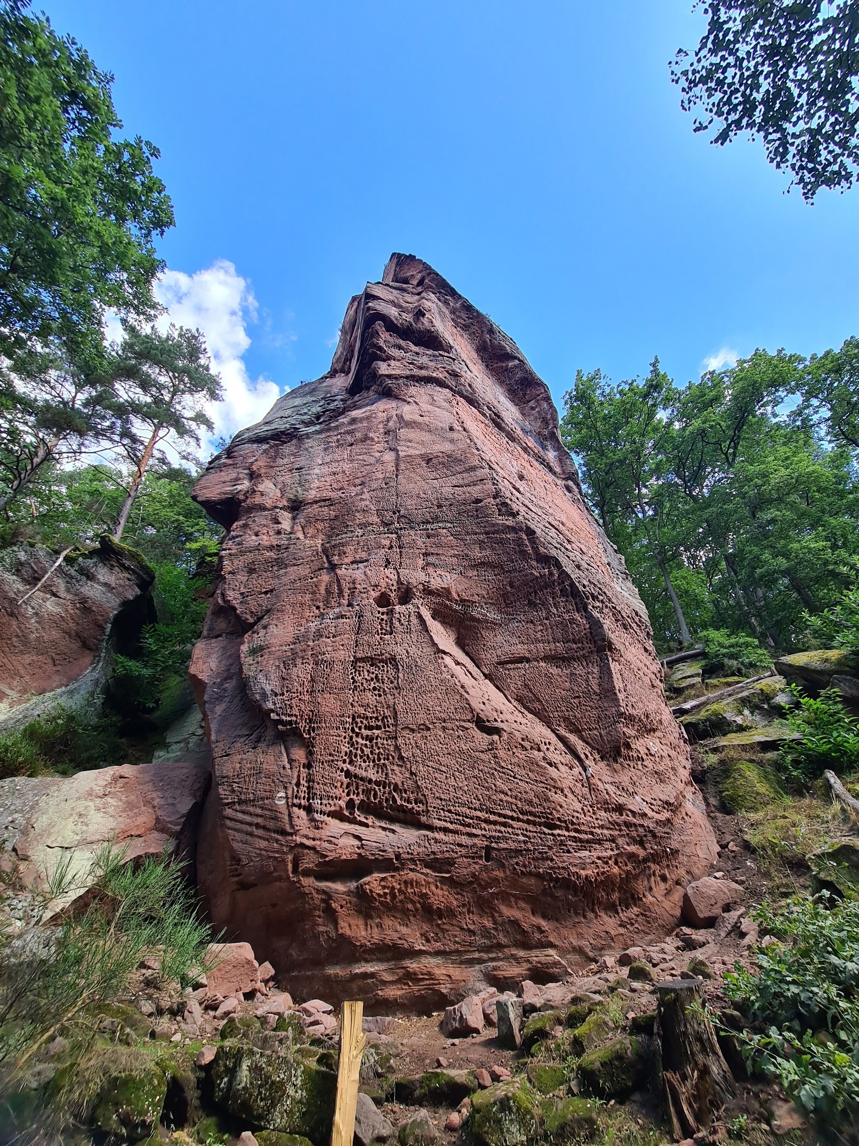 A large rock formation surrounded by greenery.