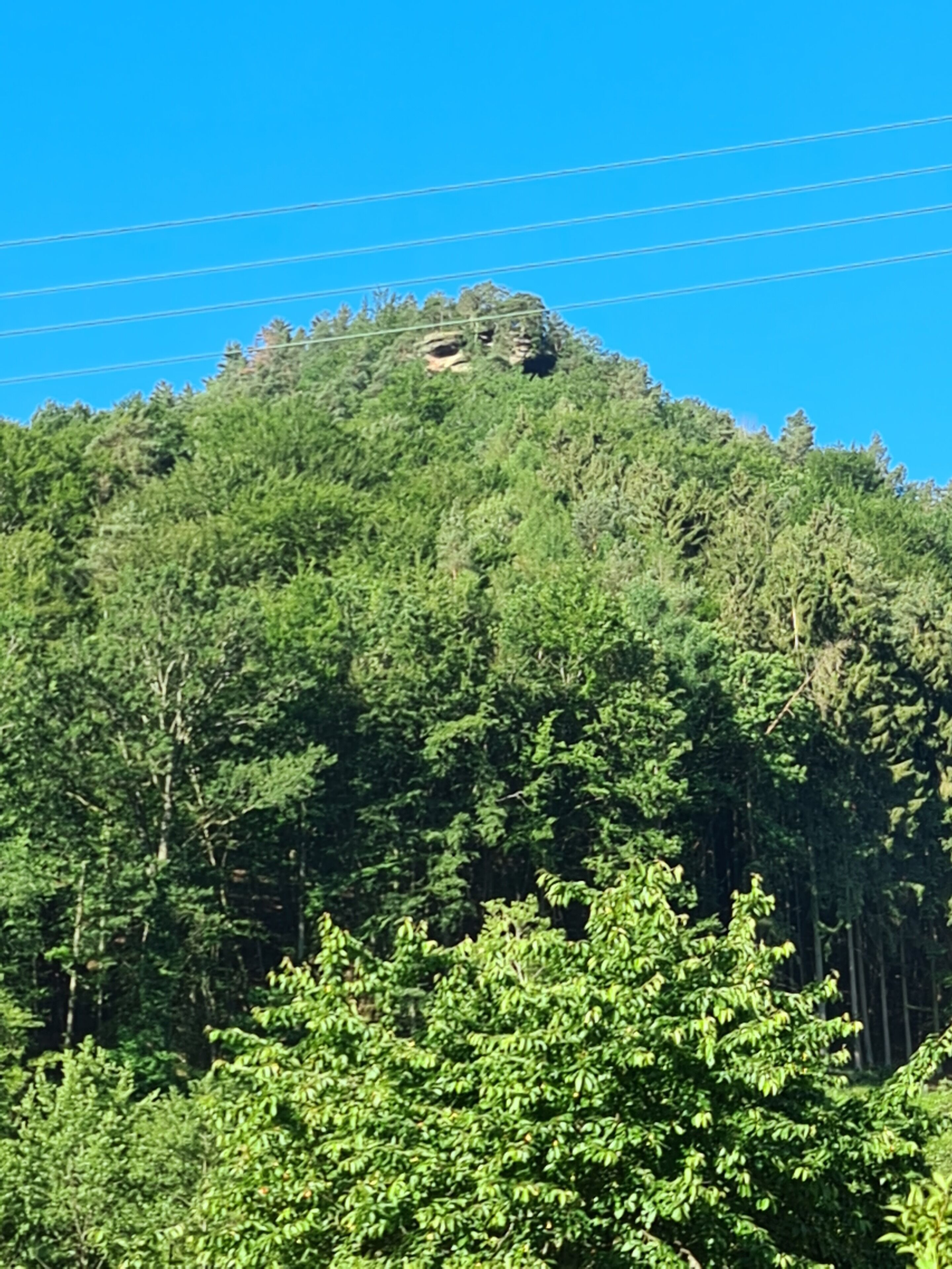 Una montaña con un denso bosque verde y un afloramiento rocoso.