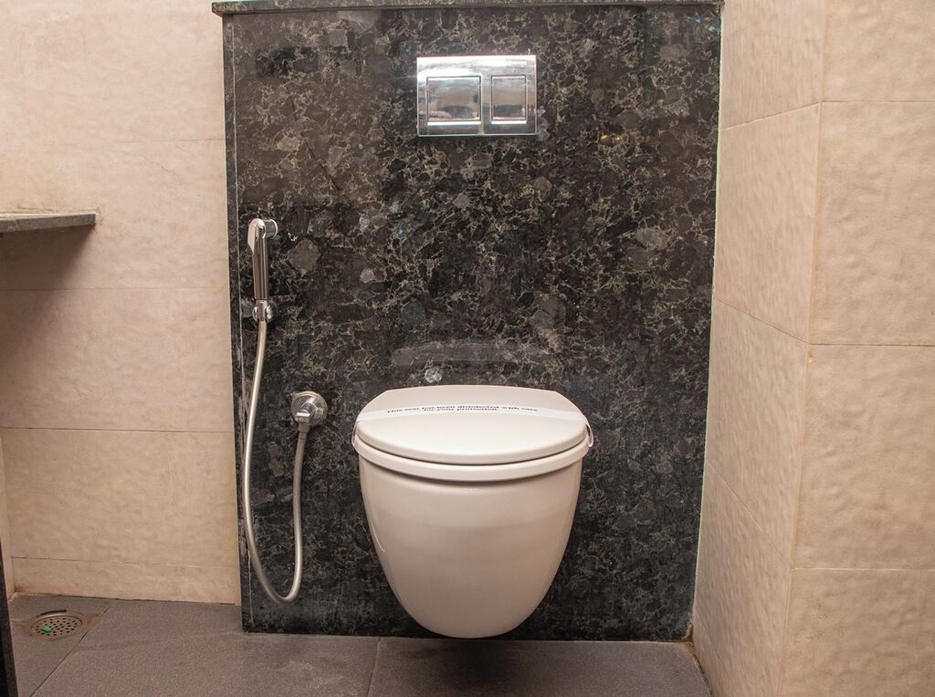 A bathroom with a toilet, a shower, and a wall-mounted flush handle.