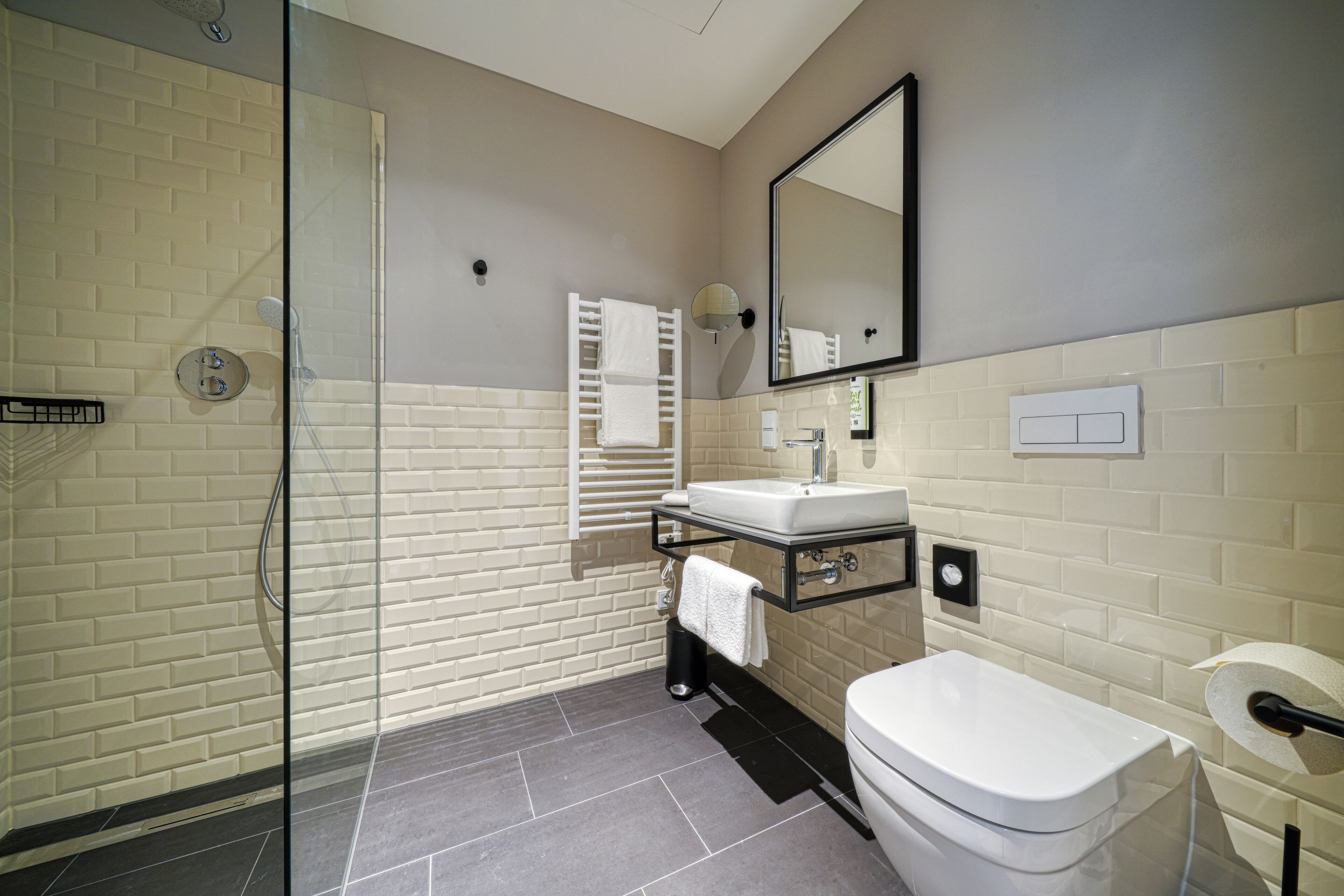 A modern bathroom with a glass shower enclosure, a white sink, and a toilet.