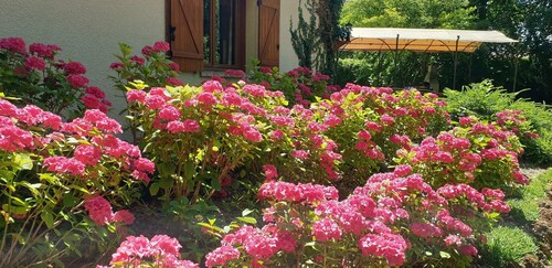 Villa Champagne - à Proximité du lac