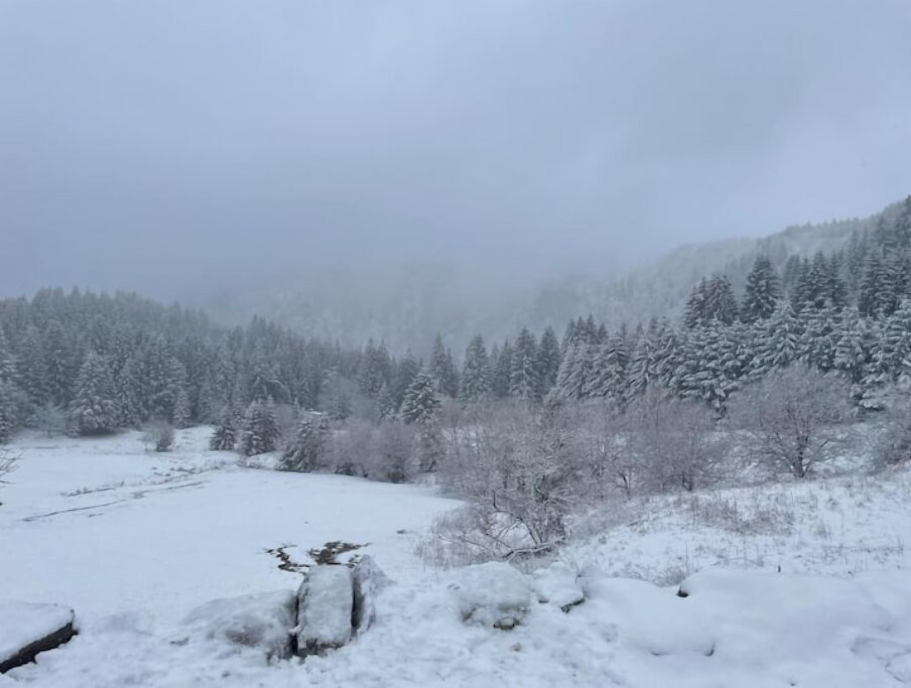 Snø- og skisport