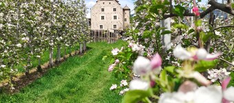 Historischer Charme im Appartment Turm. Ansitz Melag