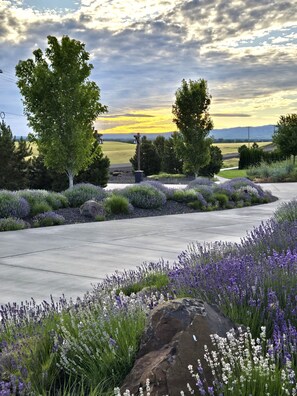 Property grounds - The Ponderosa - Walla Walla Wineries Minutes Away! (Walla Walla)