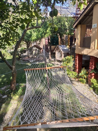 Jamwal Villa Homestay Himachal Pradesh