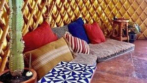 Un interior acollidor amb una paret de fetge, un cactus i una banca estampada.