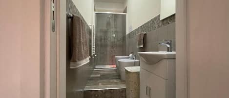 Shower, hair dryer, bidet, towels