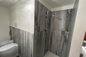 Shower, hair dryer, bidet, towels