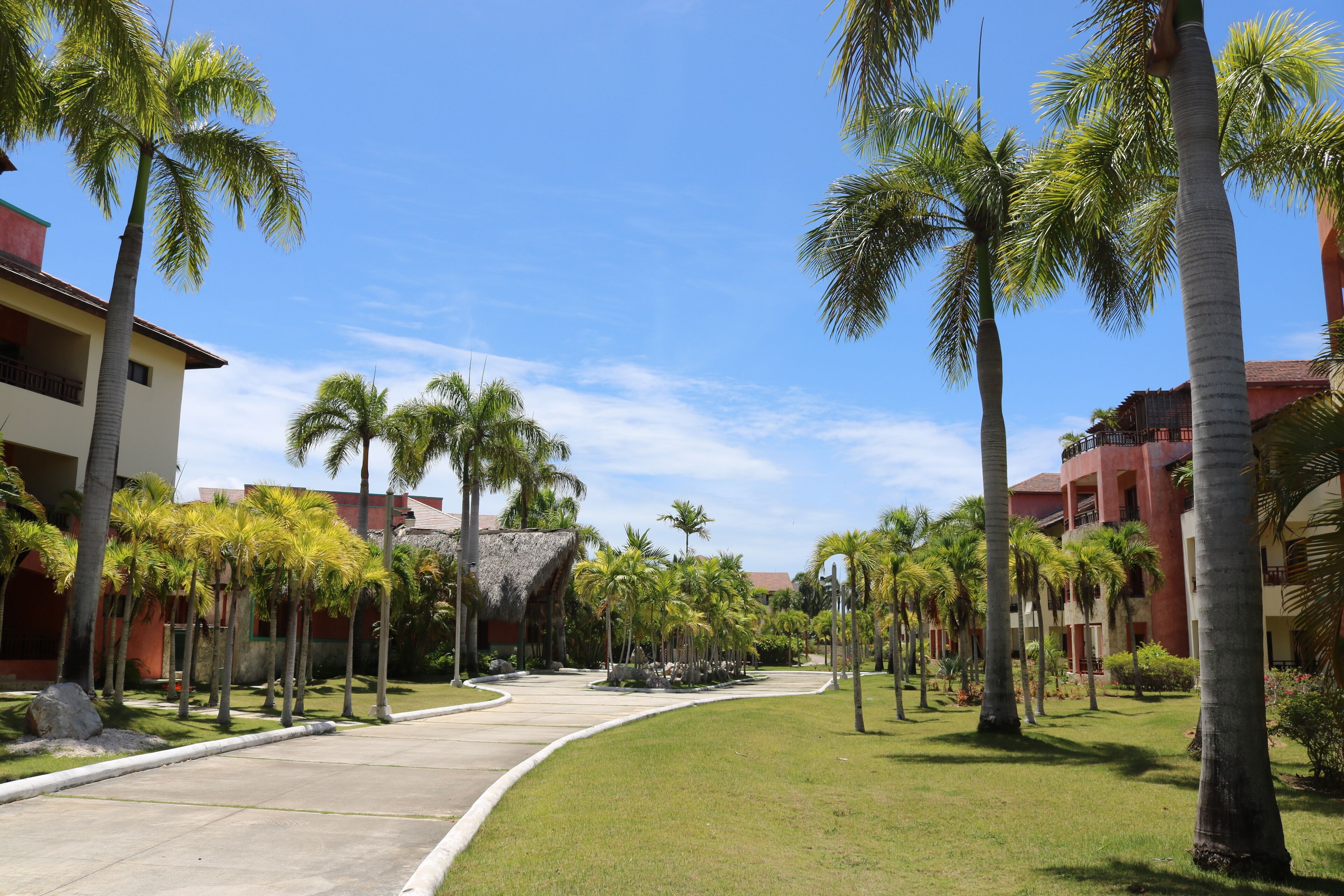 Un resort con un camino central bordeado de palmeras, rodeado de edificios con fachadas rojas y beige.
