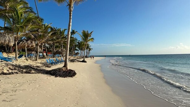 A beach with palm trees, a sandy shore, and a clear blue sky. - Magic Arena Blanca Beach Suite (Punta Cana)