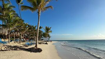 Uma praia com palmeiras, areal arenoso e céu azul límpido.