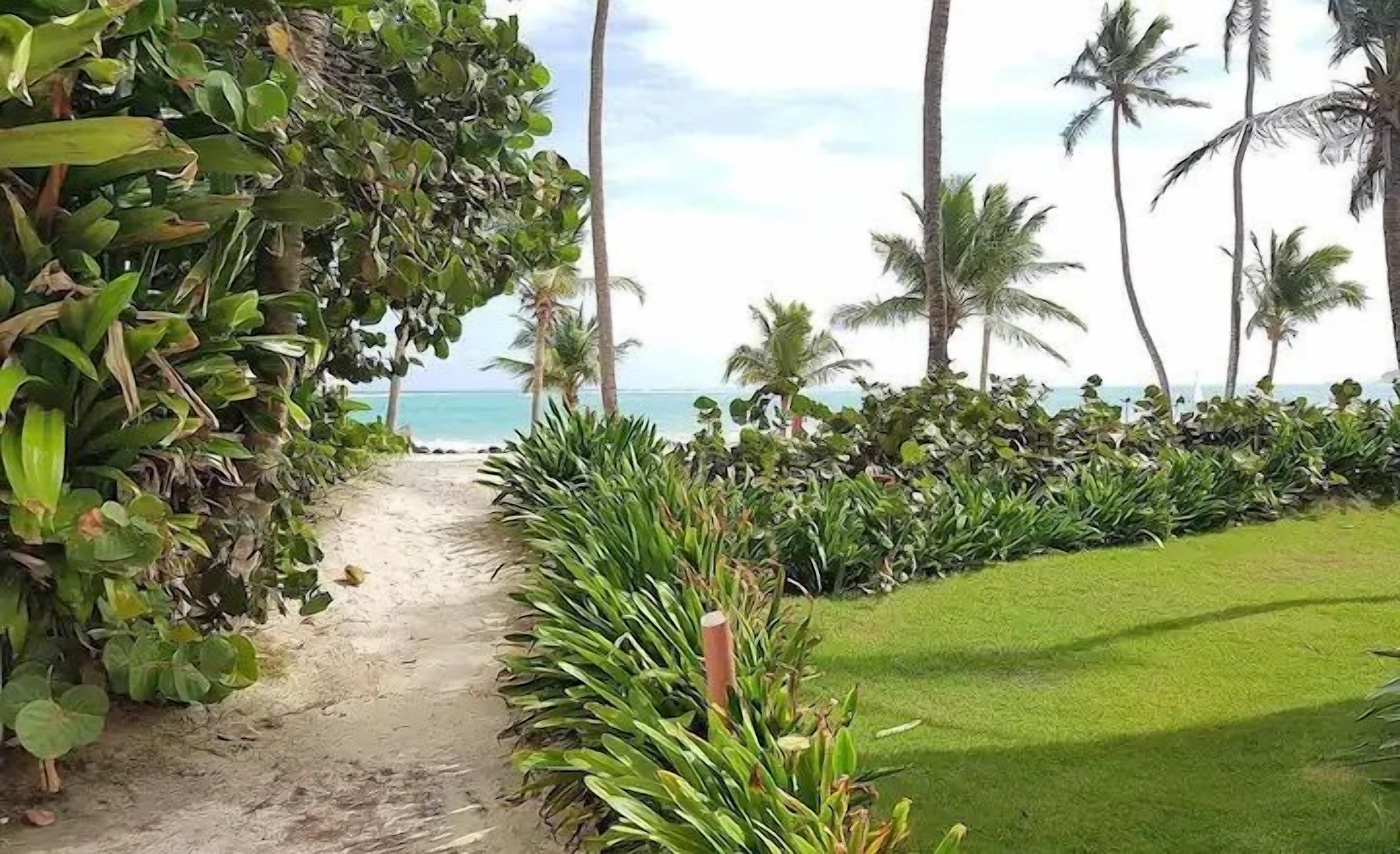 Caminho que leva a uma praia com palmeiras e vegetação exuberante.