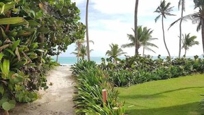 A pathway leading to a beach with palm trees and lush greenery. - Magic Arena Blanca Beach Suite (Punta Cana)
