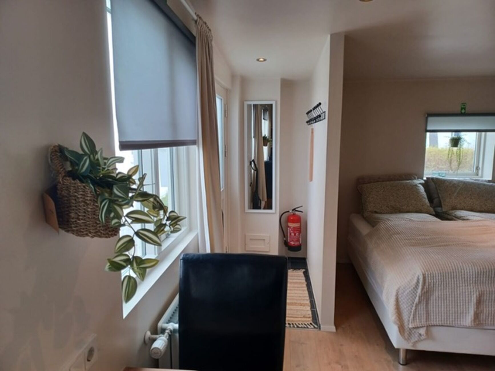 A bedroom with a bed, a window with curtains, a radiator, a fire extinguisher, and a plant on the wall.