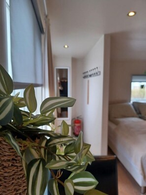 A room with a bed, a potted plant, and a wall-mounted light fixture. - Nordurgata 43 (Akureyri)