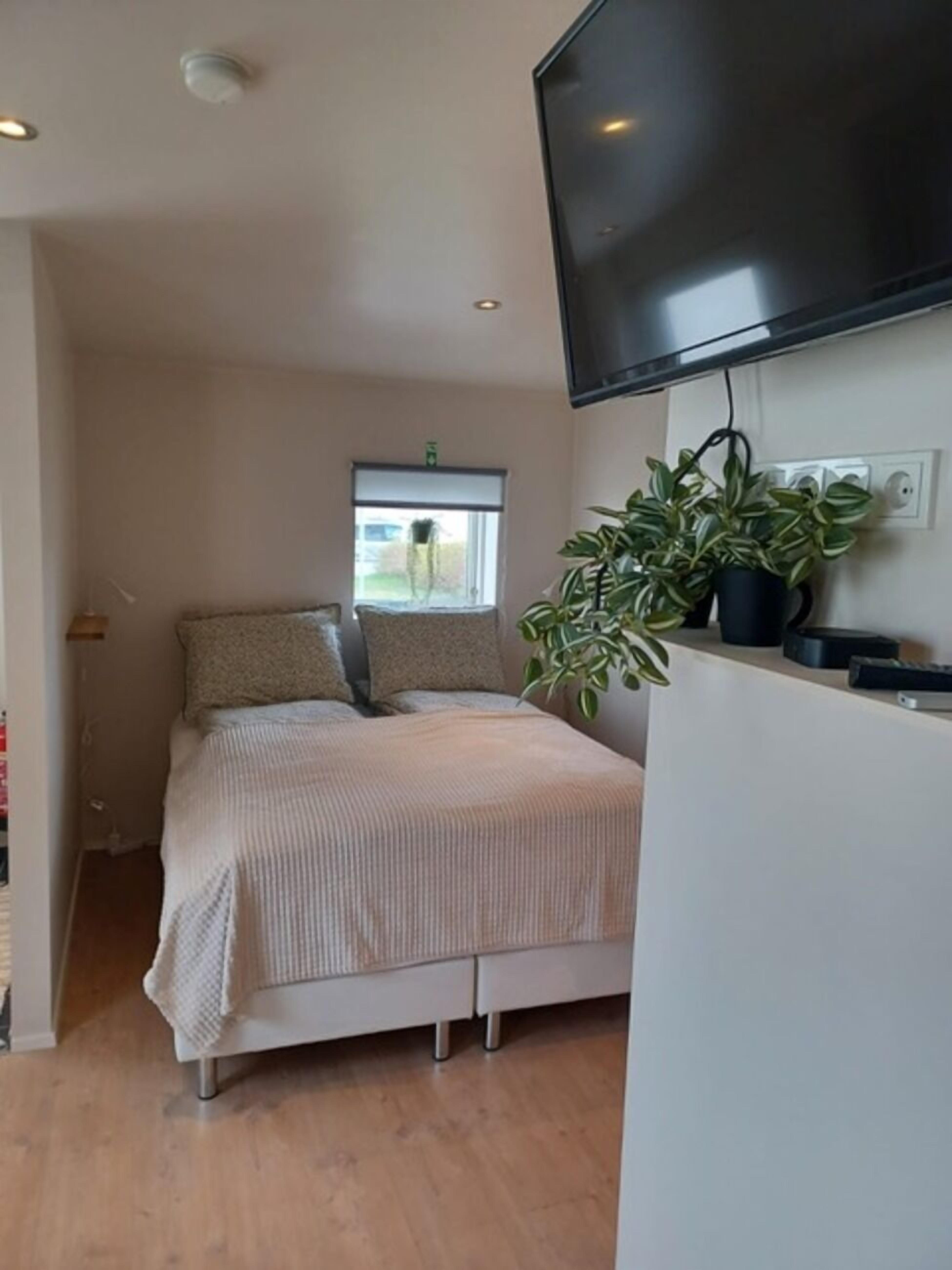 A bedroom with a bed, a TV mounted on the wall, a window with blinds, and a potted plant.