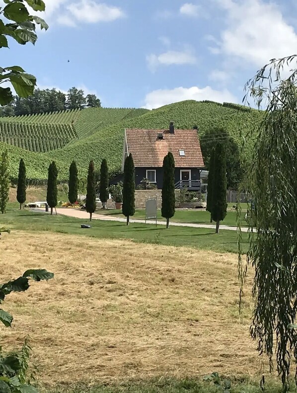 Property grounds - Stilvolles Appartment in Durbach - Wandern - 30 min Strasbourg- Hundefreundlich (Durbach)