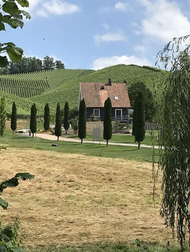 Stilvolles Appartment in Durbach - Wandern - 30 min Strasbourg- Hundefreundlich