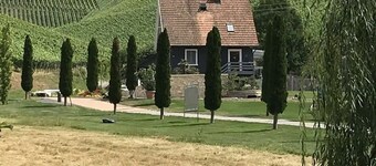 Stilvolles Appartment in Durbach - Wandern - 30 min Strasbourg- Hundefreundlich