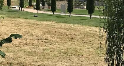 Stilvolles Appartment in Durbach - Wandern - 30 min Strasbourg- Hundefreundlich