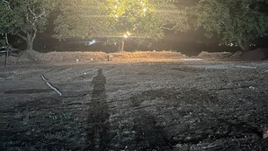 A nighttime scene with a tree illuminated by lights, surrounded by a barren landscape. - Ayarkar Farm Resort (Murud)