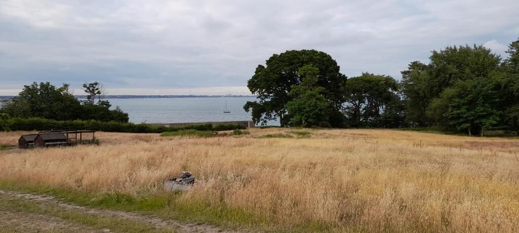 A grassy field with a bench and a small structure, likely a picnic area, near a body of water with trees and a distant view of a city skyline.