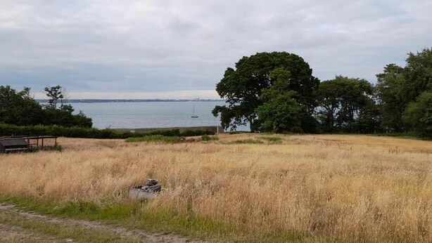 Een grasveld met een bankje en een klein gebouwtje, waarschijnlijk een picknickplaats, nabij een waterpartij met bomen en een verre skyline van een stad.
