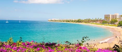 Plage à proximité