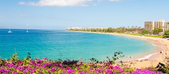 Private Kaanapali Residence - Saltwater Pool - Luxury Kitchen - BBQ - Outdoor Shower