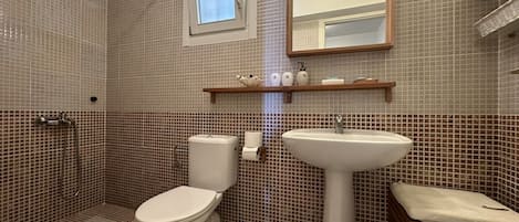 Douche, séchoir à cheveux, serviettes fournies, savon