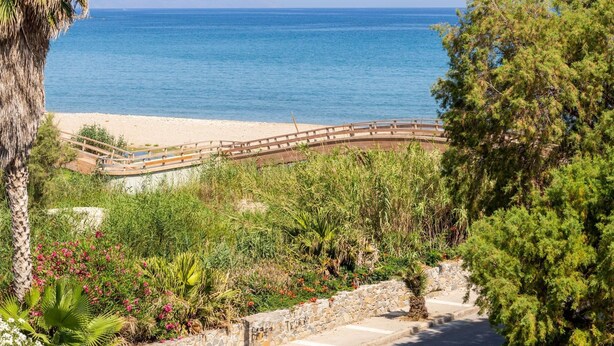 Une route côtière bordée d’un mur de pierres et d’un pont en bois qui mène à une plage.