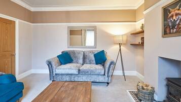 TV, fireplace, books