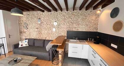 Duplex Cosy MyFontainebleau Hyper Centre