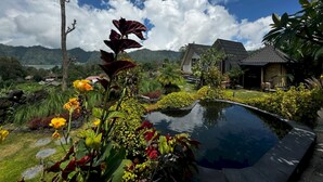 Un jardin tropical avec une piscine, une maison et une chaîne de montagnes en arrière-plan.