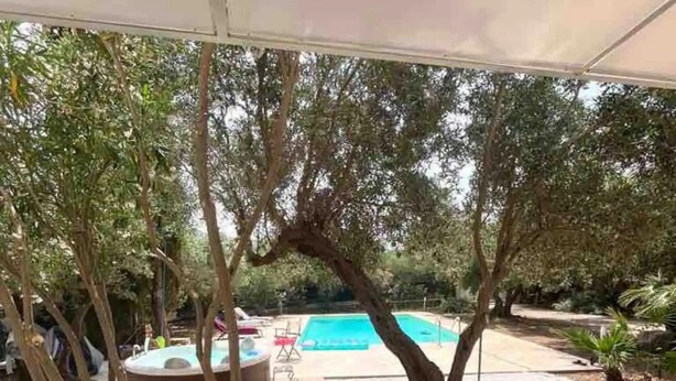Un patio exterior con piscina, mobiliario cubierto y árboles.