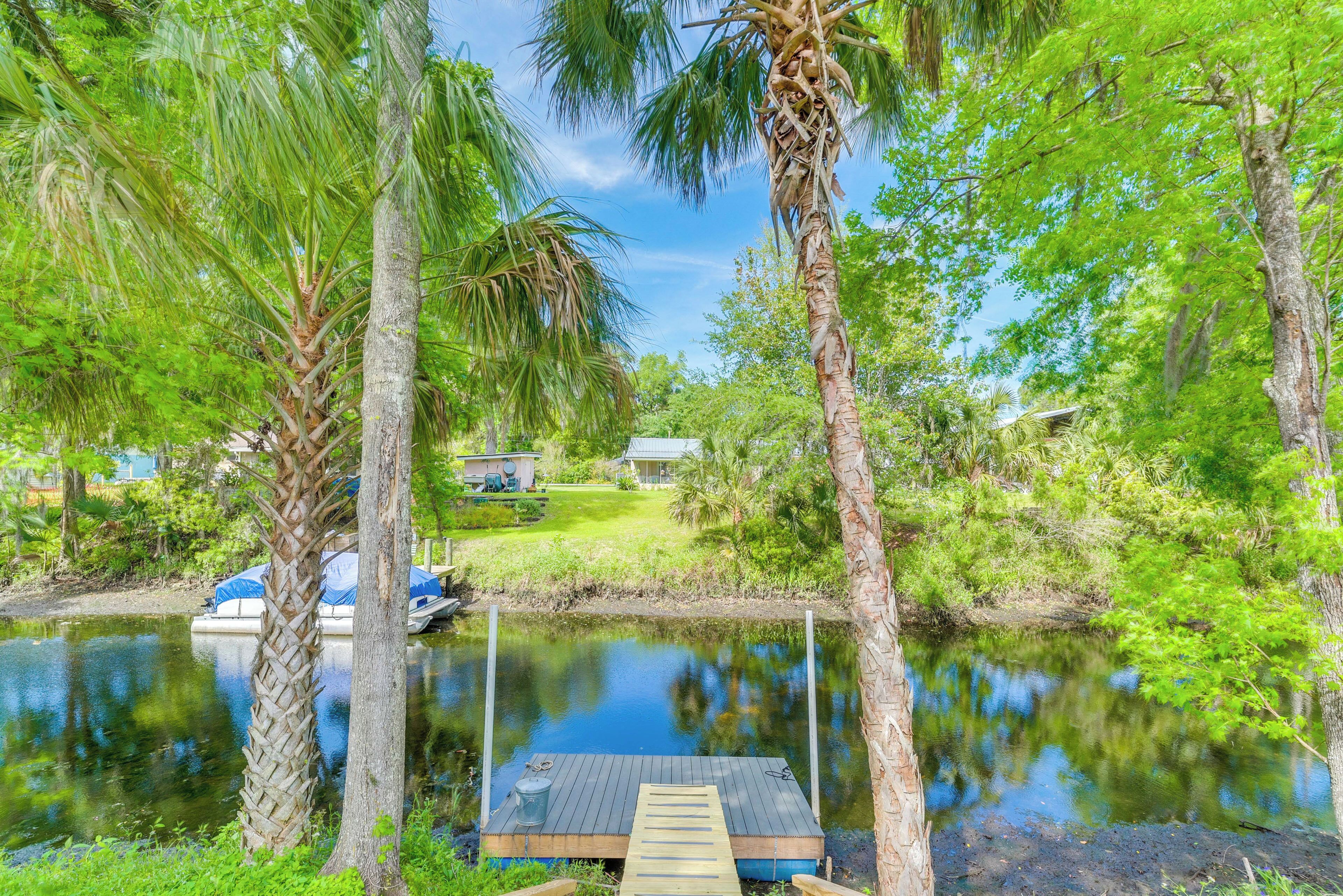 A serene lakeside scene with a wooden dock extending into the water, surrounded by lush greenery and palm trees.